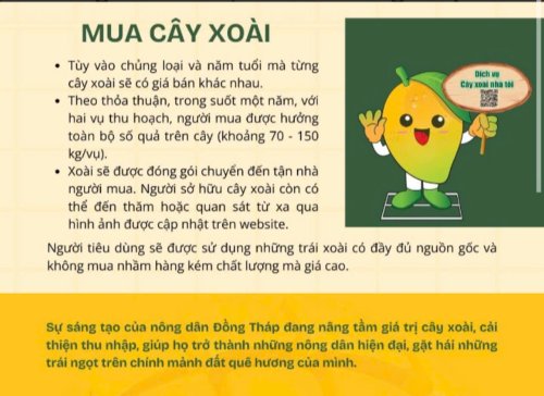 mô hình cây xoài 3.jpg