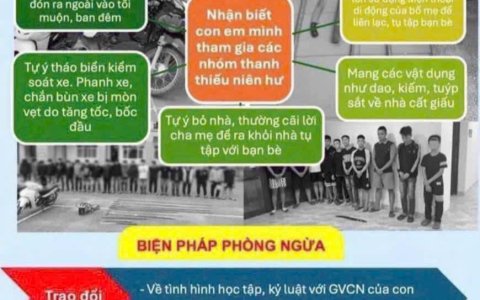 Phòng ngừa Thanh thiếu niên hư tham gia gây rối trật tự công cộng