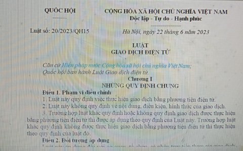 Luật giao dịch điện tử, luật số 20-2023, qh15