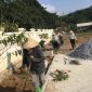 xã Cẩm Châu thi đua các hoạt động xây dựng NTM năm 2023, xây dựng nông thôn mới bền vững