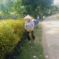 Chi hội phụ nữ các thôn thường xuyên  chăm lo xây dựng nông thôn mới